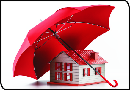 packers and movers, movers and packers